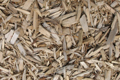 biomass boilers Sandness